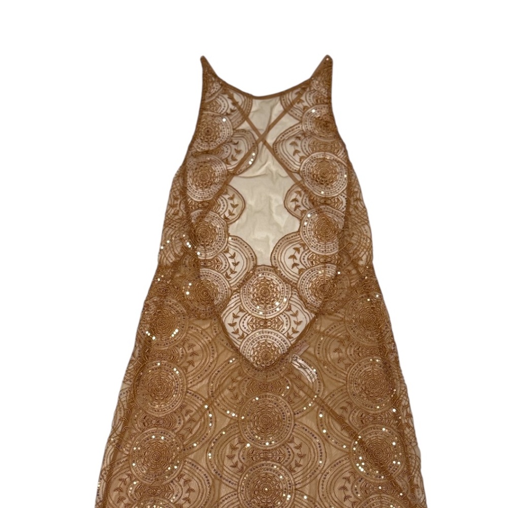 DREAMGIRL Sheer Mesh with Metallic & Satin Thread Floral Embroidered Lingerie